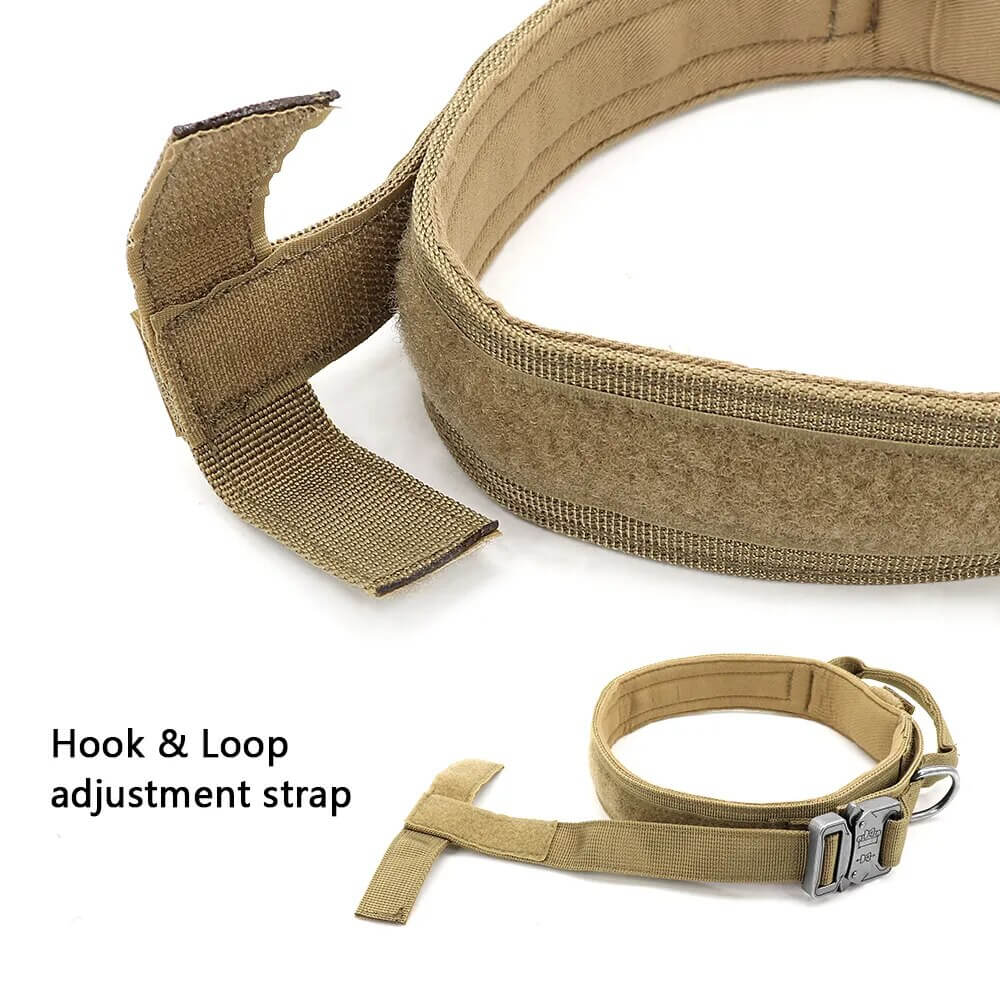 ZOLANDE - Robust Dog Collar with Included Leash. - Durable Nylon, Stainless Linkages, Multiple Handles and Elastic Leash, For Medium to Large Dogs