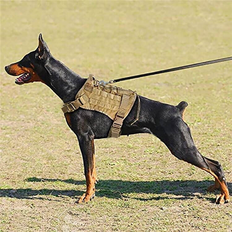 ZANTARA - Premium Dog Harness with Leash. - Water Repellent Nylon, Reflective Details, Adjustable and Breathable, For Medium to Large Dogs