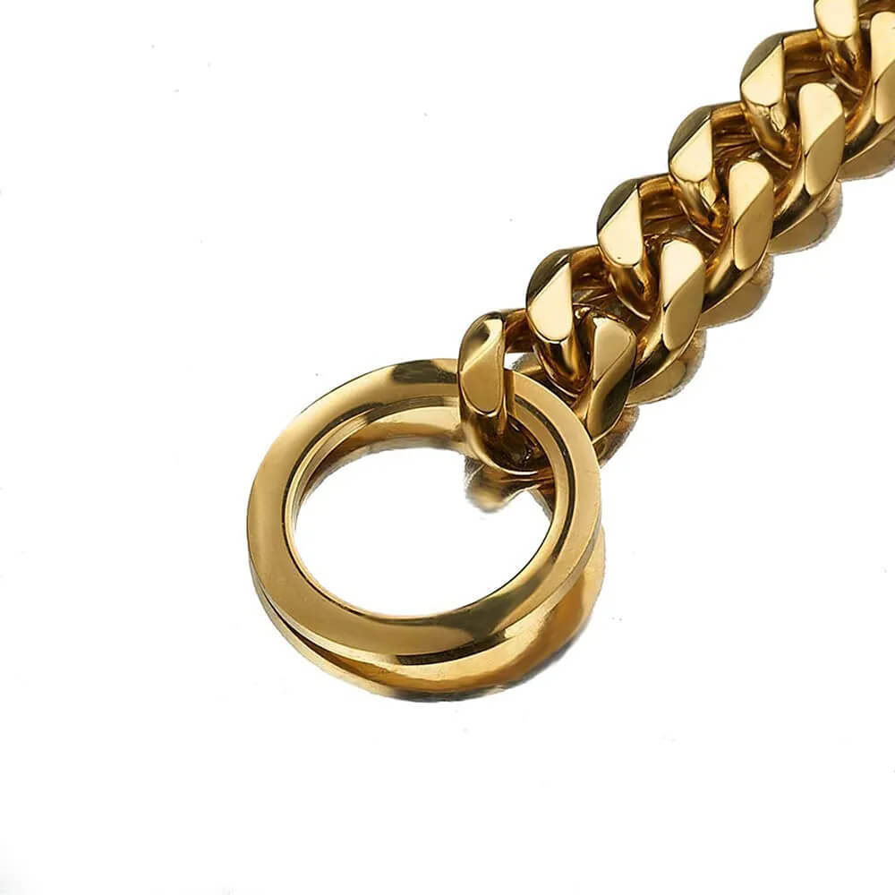 RAGNAR - Hundhalsband i Rostfritt Stål. - Tillgängligt i Guld, Svart, Silver och Guld/Silver, Slitstarkt och Hygieniskt, Perfekt för Daglig Användning