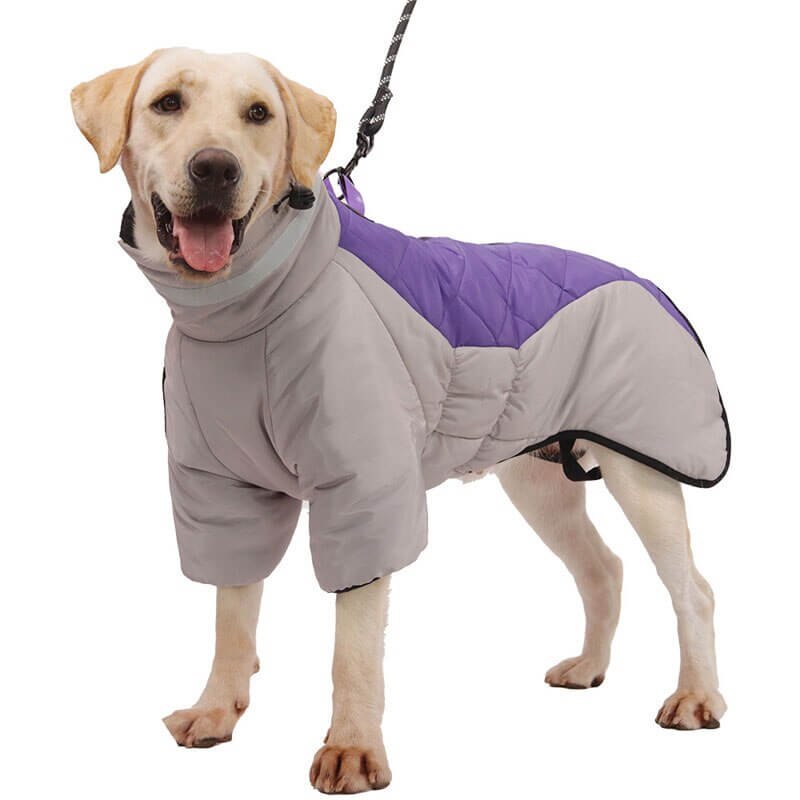 LUCY - Lined Dog Jacket. Winter Dog Jacket, Water Repellent and Thermally Lined with Reflective Details, Comfortable for Medium to Large Dog Breeds, Perfect for Cold Walks