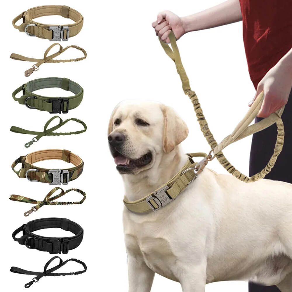 ZOLANDE - Robust Dog Collar with Included Leash. - Durable Nylon, Stainless Linkages, Multiple Handles and Elastic Leash, For Medium to Large Dogs