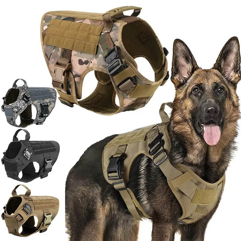 ZANTARA - Premium Dog Harness with Leash. - Water Repellent Nylon, Reflective Details, Adjustable and Breathable, For Medium to Large Dogs