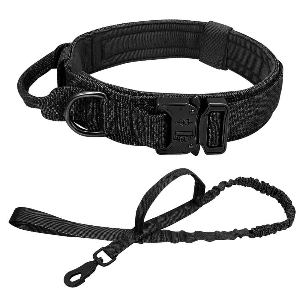 ZOLANDE - Robust Dog Collar with Included Leash. - Durable Nylon, Stainless Linkages, Multiple Handles and Elastic Leash, For Medium to Large Dogs