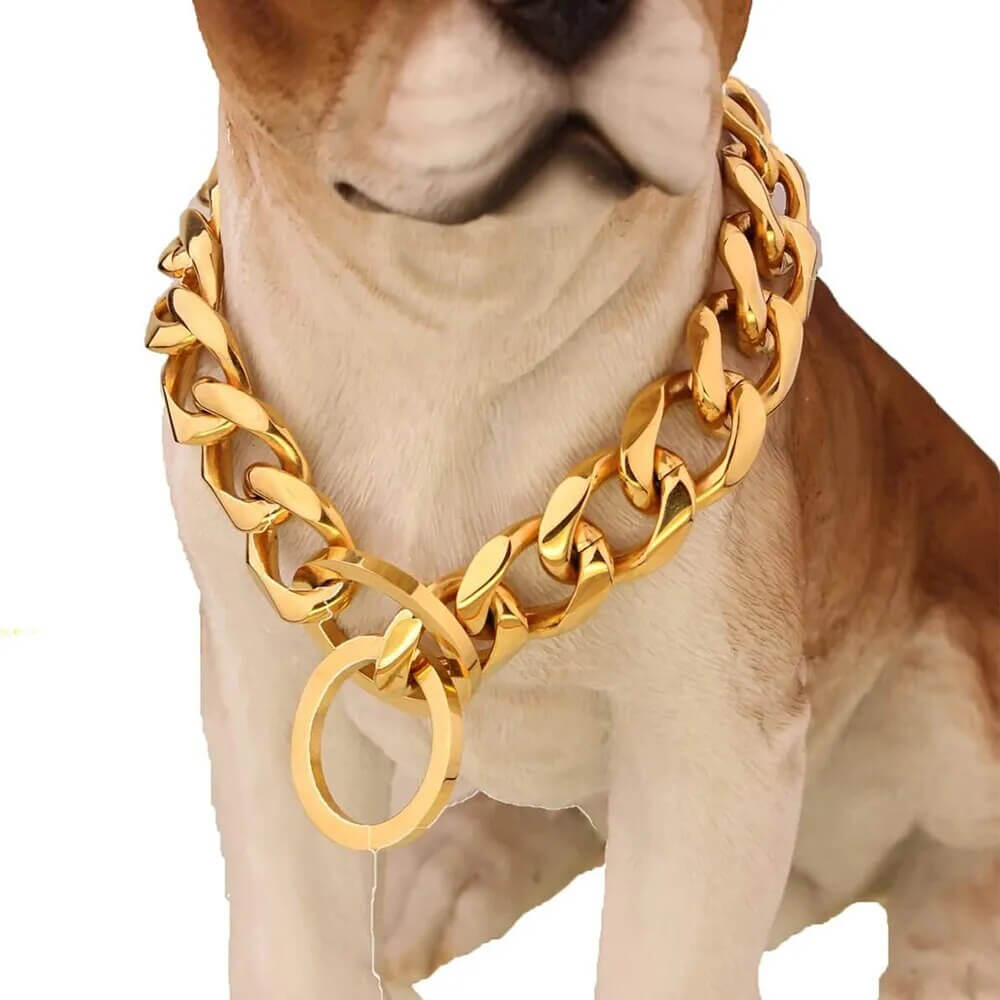 RAGNAR - Hundhalsband i Rostfritt Stål. - Tillgängligt i Guld, Svart, Silver och Guld/Silver, Slitstarkt och Hygieniskt, Perfekt för Daglig Användning