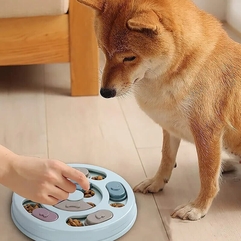 ZOE - Slow Feeder Interaktiv Matdispenser för Hundar och Katter. - Slitstark PP Plast, Halkfri Botten, Förbättrad Matsmältning och Intellektuell Utmaning
