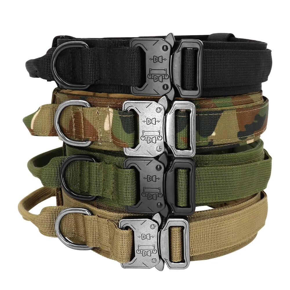 ZOLANDE - Robust Dog Collar with Included Leash. - Durable Nylon, Stainless Linkages, Multiple Handles and Elastic Leash, For Medium to Large Dogs