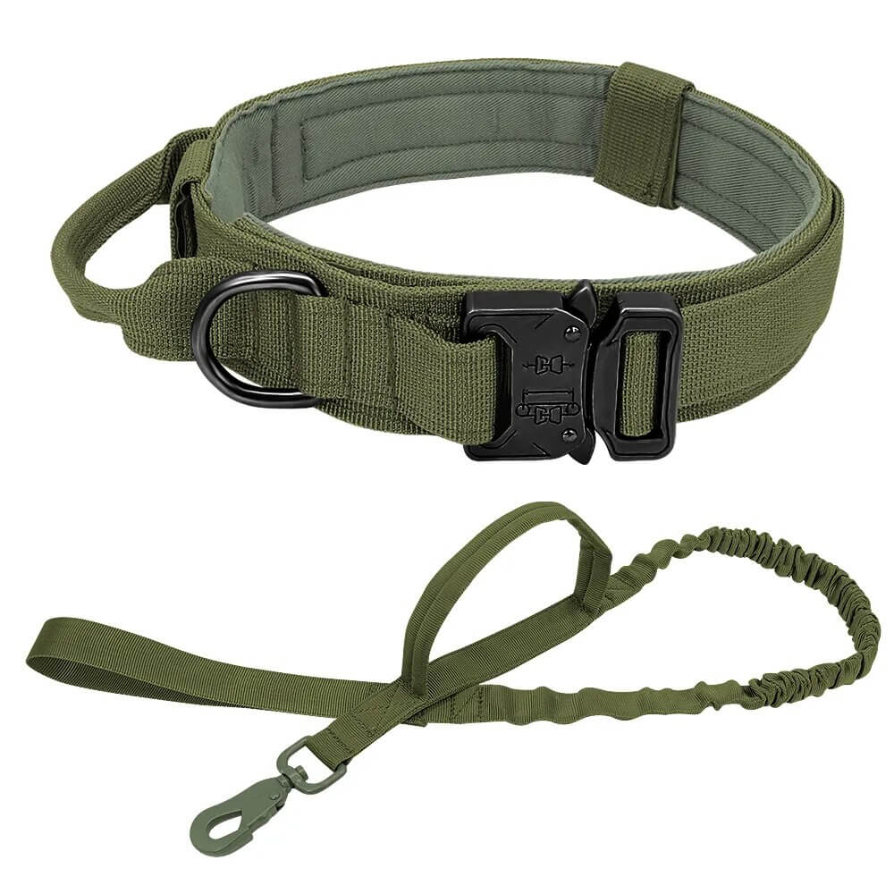 ZOLANDE - Robust Dog Collar with Included Leash. - Durable Nylon, Stainless Linkages, Multiple Handles and Elastic Leash, For Medium to Large Dogs