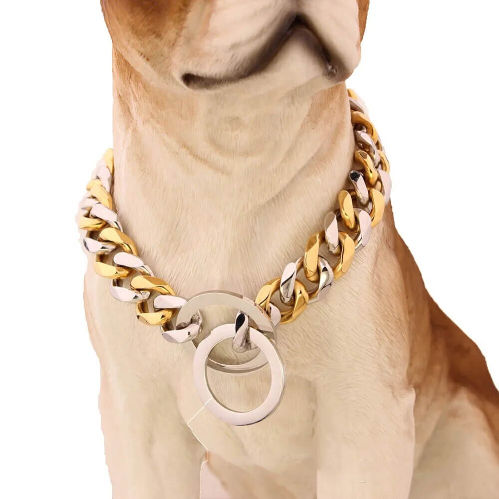 RAGNAR - Hundhalsband i Rostfritt Stål. - Tillgängligt i Guld, Svart, Silver och Guld/Silver, Slitstarkt och Hygieniskt, Perfekt för Daglig Användning