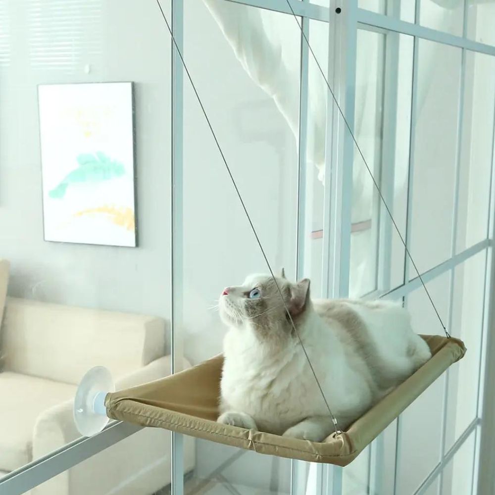 FIRO – Katzenhängematte für das Fenster. Langlebig und bequem, große Saugnäpfe für sichere Befestigung, perfekt für sonnenliebende Katzen und kleine Hunde