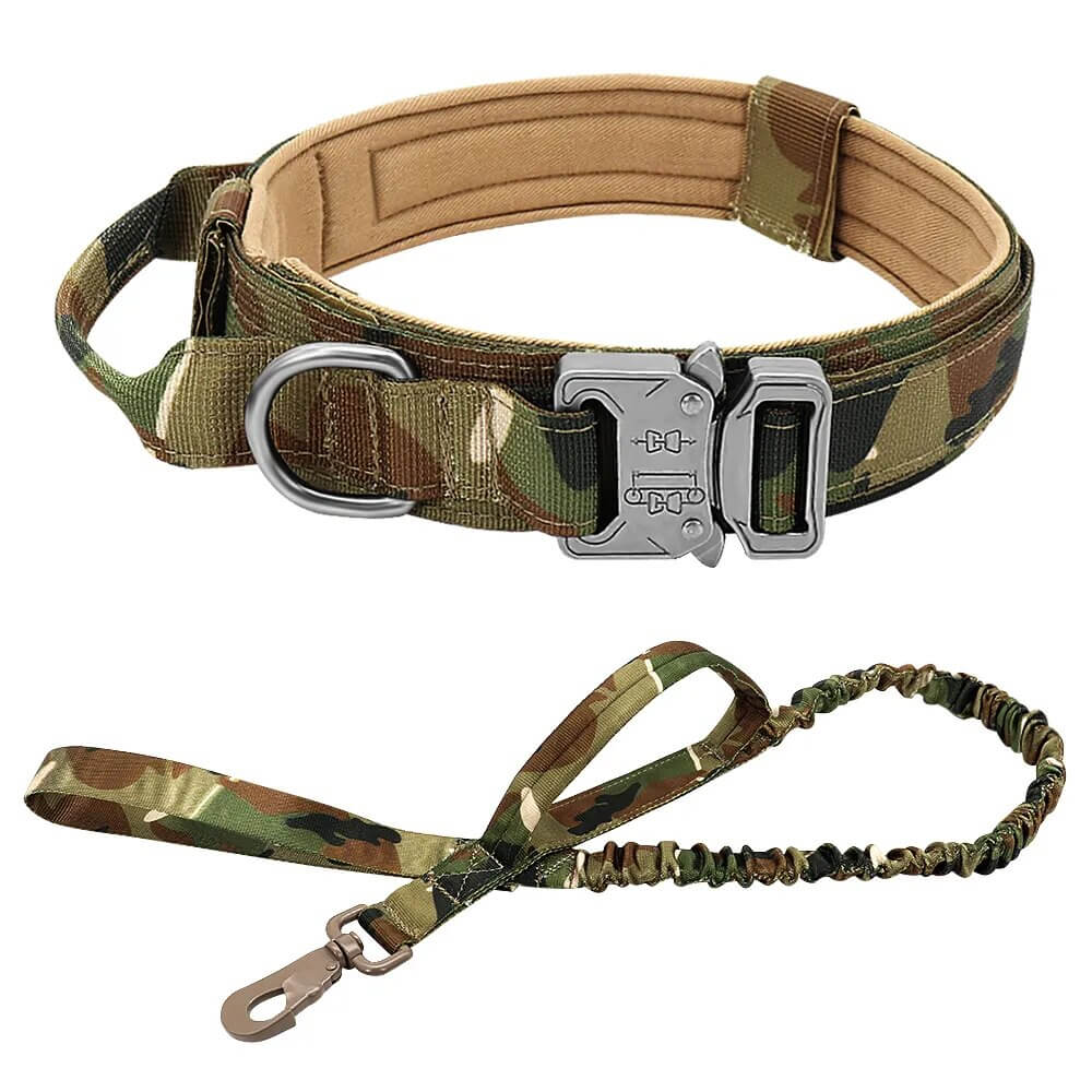 ZOLANDE - Robust Dog Collar with Included Leash. - Durable Nylon, Stainless Linkages, Multiple Handles and Elastic Leash, For Medium to Large Dogs