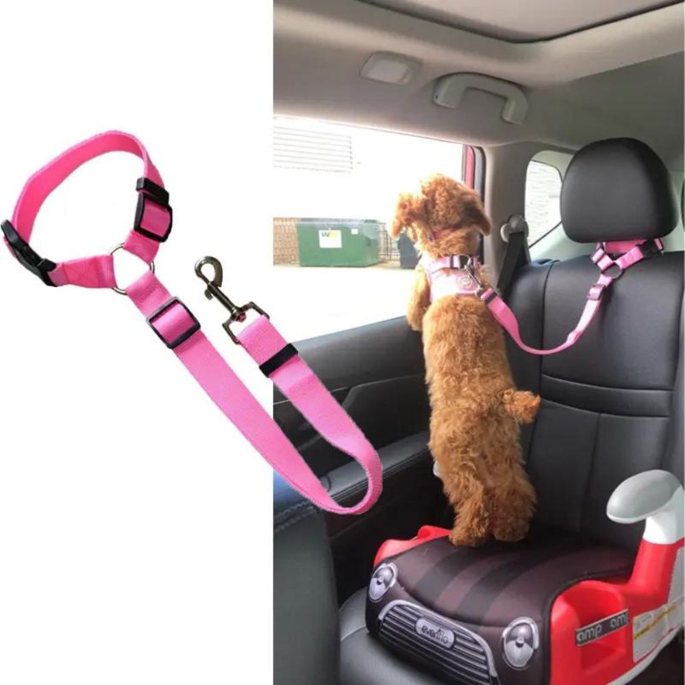 ZENOA – Verstellbarer Nylon-Autosicherheitsgurt für Hunde. Robuste Zinklegierung, vielseitig und sicher, Tierbräunungssport, passend für alle Größen