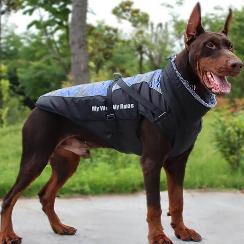 ZAVOX - Lined Dog Jacket for Medium to Large Dogs. - Insulating Lining, Reflective Details, Water Repellent, Adjustable Stand Collar