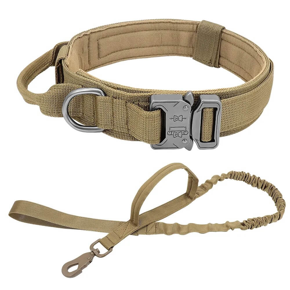 ZOLANDE - Robust Dog Collar with Included Leash. - Durable Nylon, Stainless Linkages, Multiple Handles and Elastic Leash, For Medium to Large Dogs