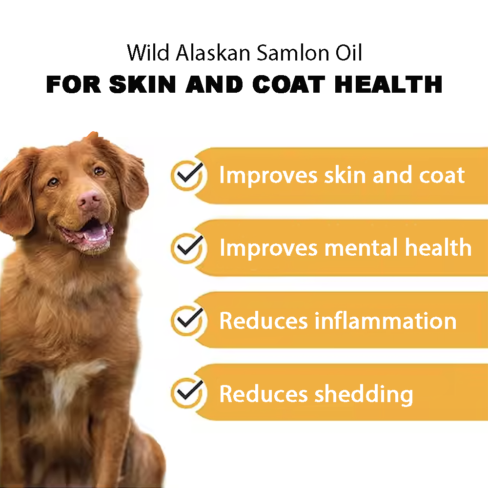 AONAI - Vild laxolja från Alaska. Omega 3-tillskott för husdjur, Glänsande päls, Minskar fällning, Förbättrar mental hälsa, Förbättrar ledhälsa, Minskar inflammation