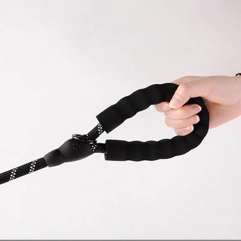 WINSTON - Nylon Dog Leash with Reflex and Extra Thick Handle. - 0.8cm Thickness, 1.5m Length, Durable and Comfortable for Safe Walking