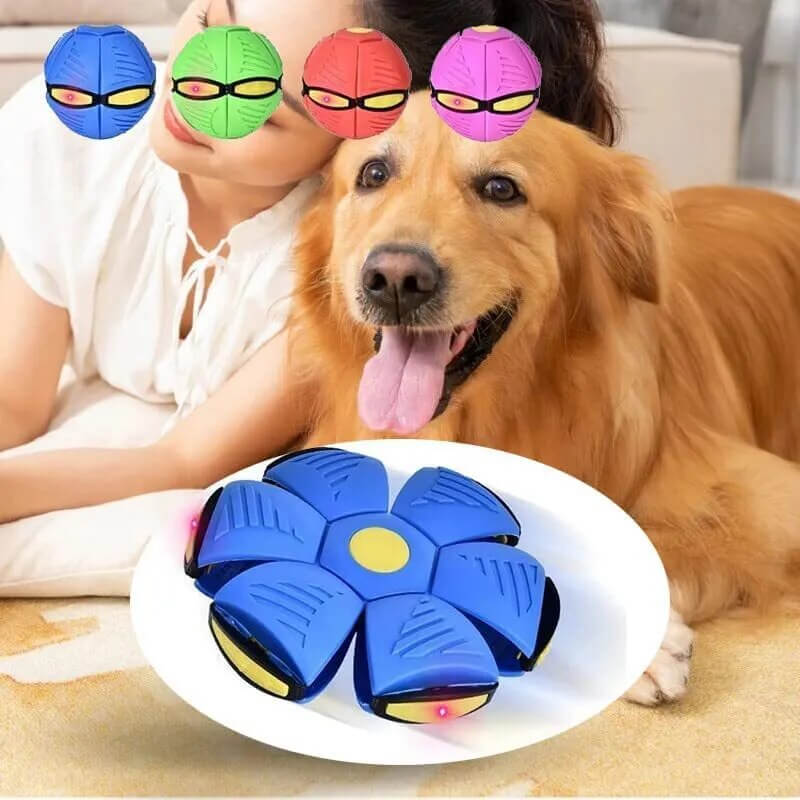 MIA – 2-in-1-Hundespielzeug Frisbee und Ball. - Einzigartiger Zeitverzögerungsmechanismus, selbsterholende Form, hergestellt aus umweltfreundlichem Weichgummi