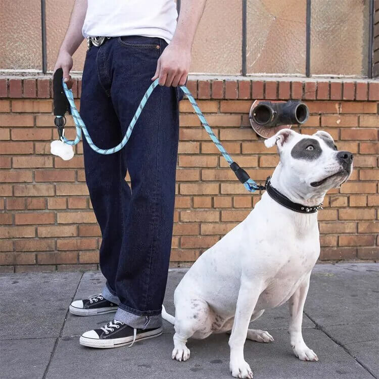 WINSTON - Nylon Dog Leash with Reflex and Extra Thick Handle. - 0.8cm Thickness, 1.5m Length, Durable and Comfortable for Safe Walking