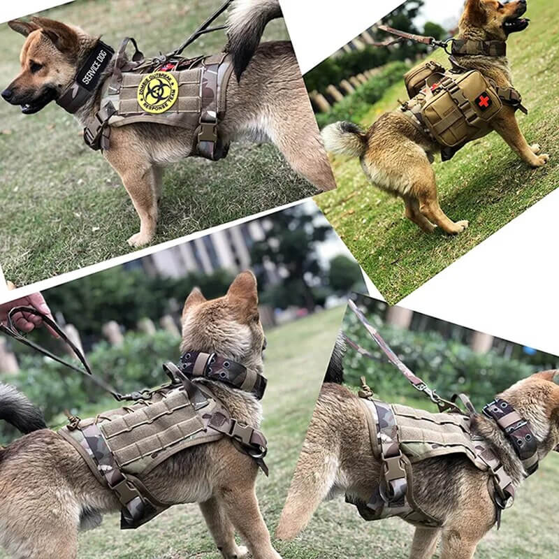ZANTARA - Premium Dog Harness with Leash. - Water Repellent Nylon, Reflective Details, Adjustable and Breathable, For Medium to Large Dogs