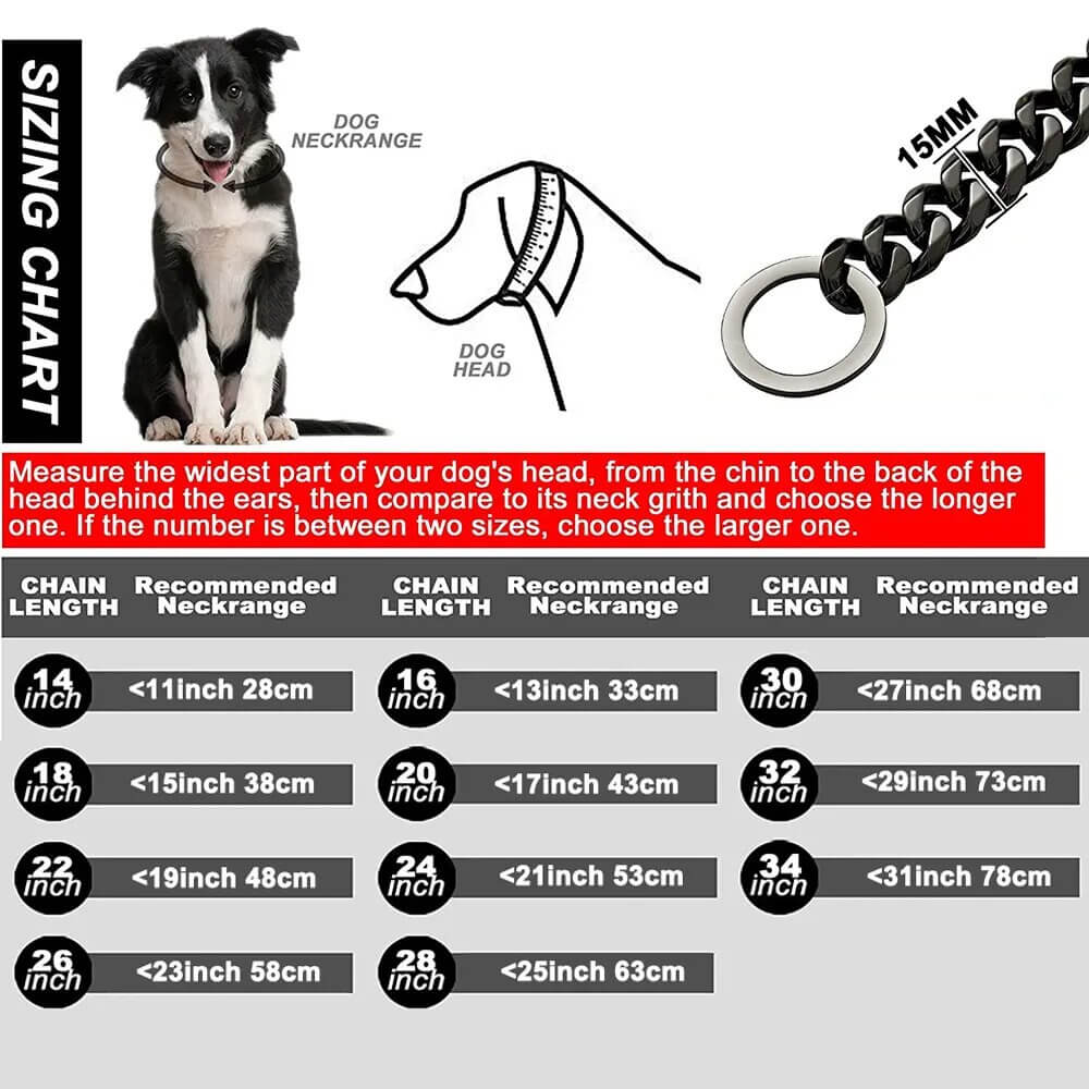 RAGNAR - Hundhalsband i Rostfritt Stål. - Tillgängligt i Guld, Svart, Silver och Guld/Silver, Slitstarkt och Hygieniskt, Perfekt för Daglig Användning