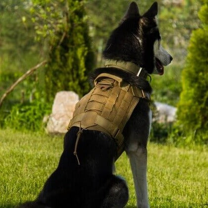 ZANTARA - Premium Dog Harness with Leash. - Water Repellent Nylon, Reflective Details, Adjustable and Breathable, For Medium to Large Dogs
