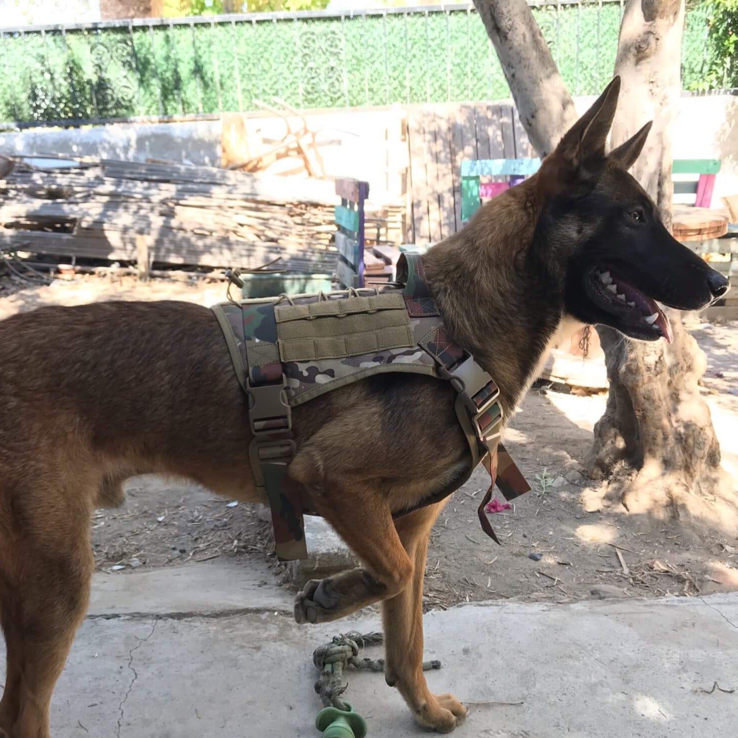 ZANTARA - Premium Dog Harness with Leash. - Water Repellent Nylon, Reflective Details, Adjustable and Breathable, For Medium to Large Dogs