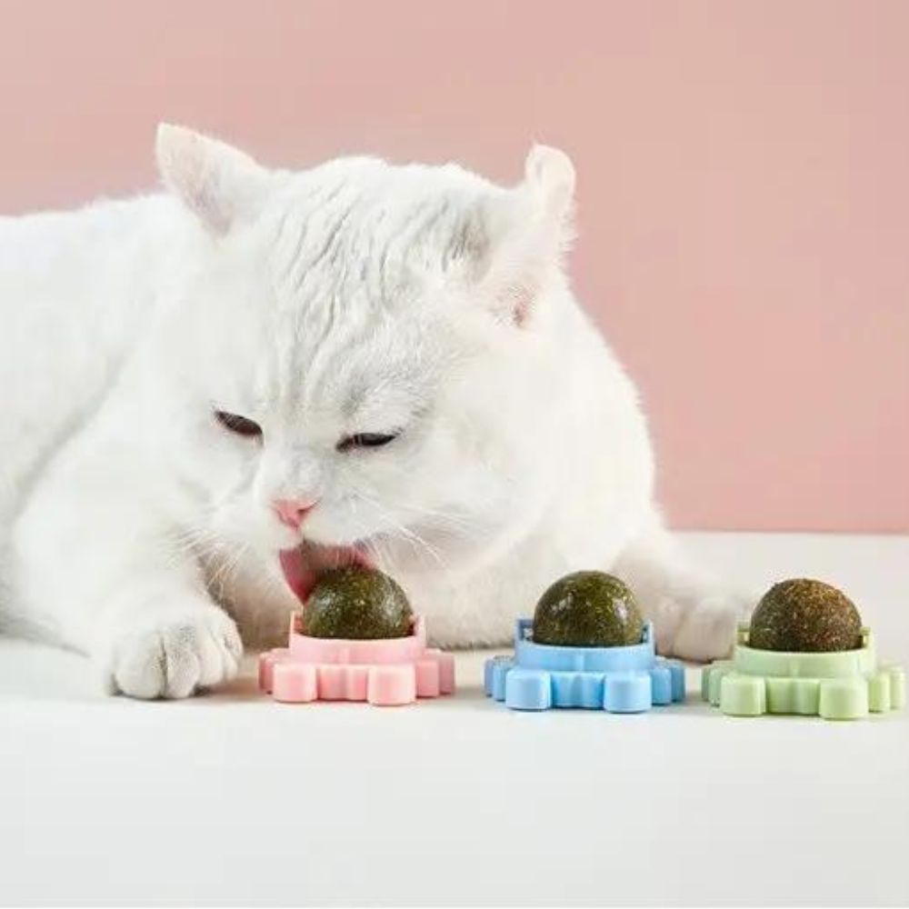 VEROZ - Klösboll med Kattmynta. - Självhäftande Design för Väggar, Hållbar Konstruktion, Skyddar Möbler och Mattor