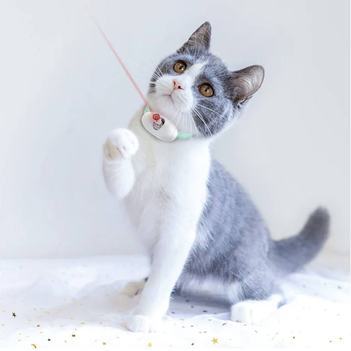 LEIO - Automatisk Laserpekare för Katter. Självroterande med Standby-läge, Justerbart Halsband av Giftfri TPU, Perfekt för Aktivering och Motion
