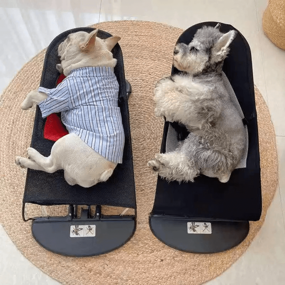 SLACK - Adjustable Pet Rocking Chair with Soft and Comfortable Design ...