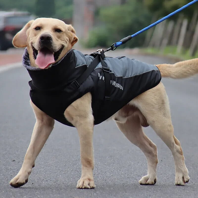 ZAVOX - Lined Dog Jacket for Medium to Large Dogs. - Insulating Lining, Reflective Details, Water Repellent, Adjustable Stand Collar