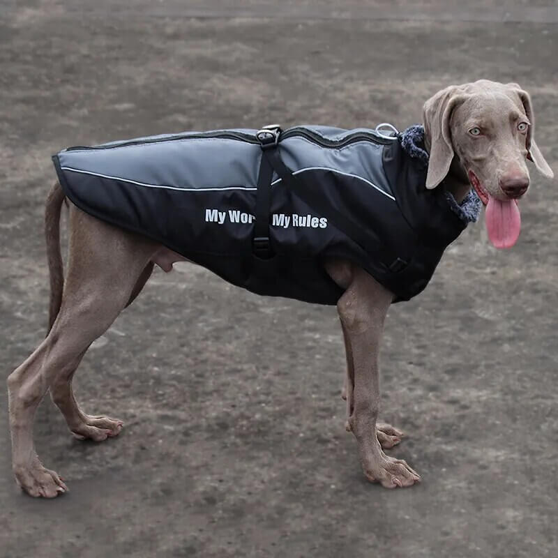 ZAVOX - Lined Dog Jacket for Medium to Large Dogs. - Insulating Lining, Reflective Details, Water Repellent, Adjustable Stand Collar