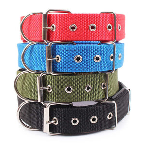 BELLO - Slitstarkt Hundhalsband med Metallspänne. 4x60 cm längd bekväm justerbar nylonrem hundhalsband för små och stora husdjur hundar halsband 4 färger röd/blå/svart/grön