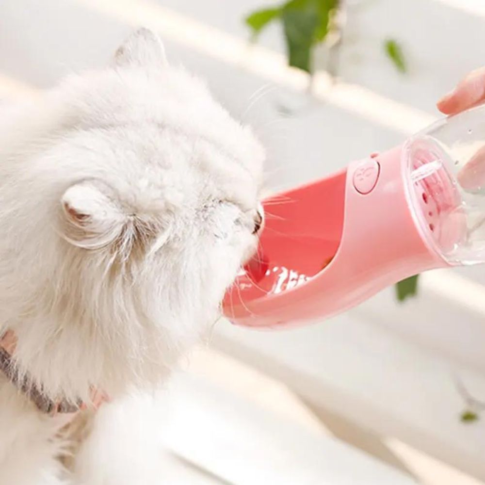 WAMPO – Tragbare Wasserflasche und Futterbehälter für Haustiere. - Auslaufsicheres ABS in Lebensmittelqualität, tragbar und praktisch für Spaziergänge und Reisen