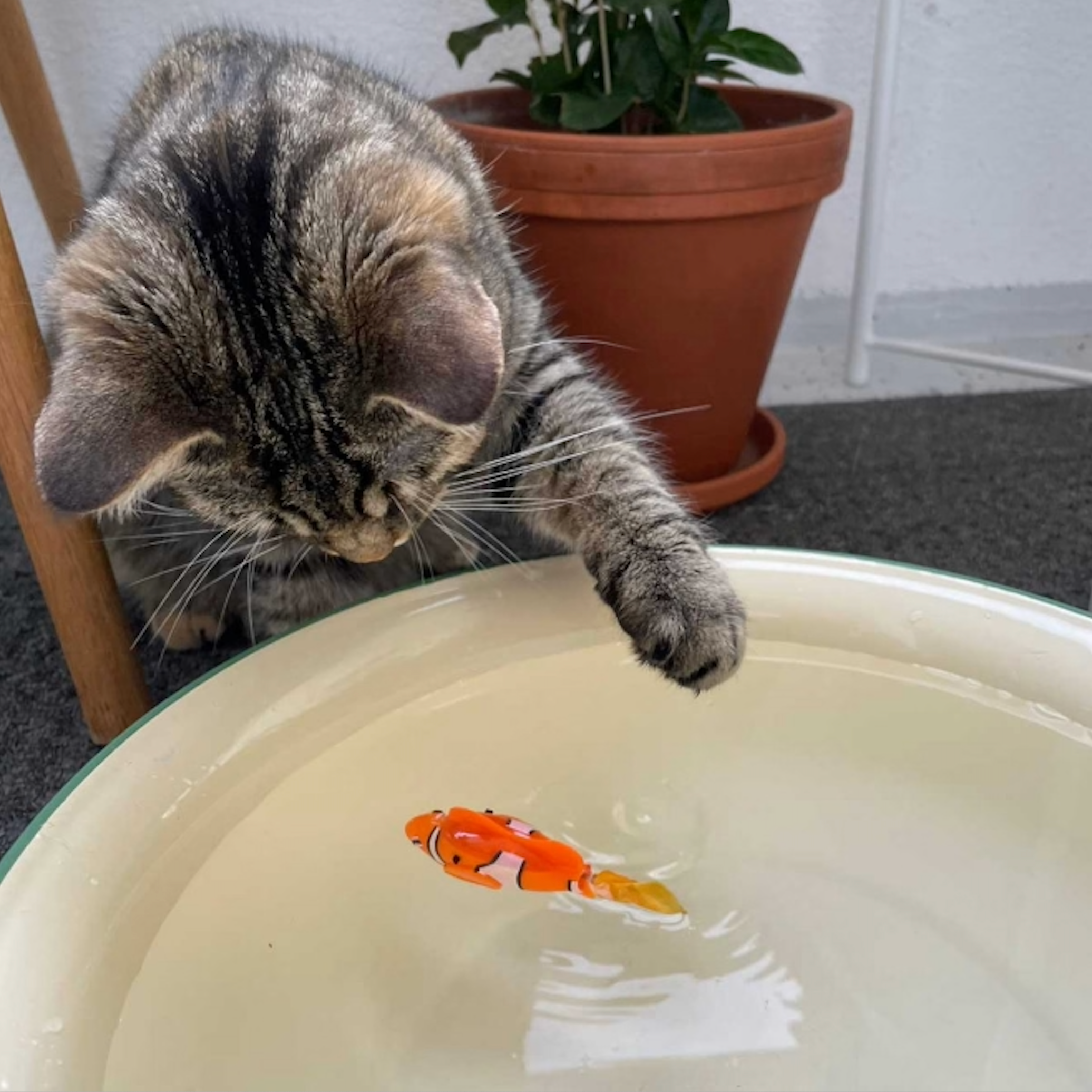 DORY - Interaktiv Robotfisk Leksak för Katter. Giftfri Plast, Tre Simhastigheter, Aktiverar Jaktinstinkter, Perfekt för Vattenlek