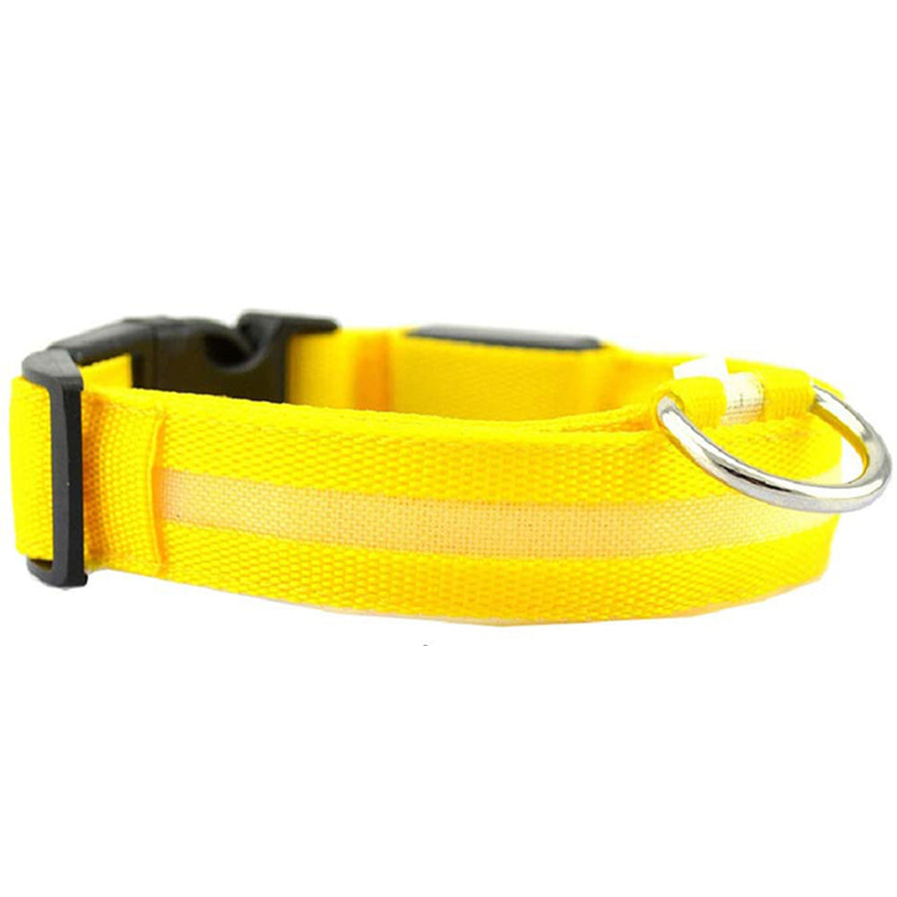 LightBuddy - Lysande Hundhalsband med LED. - Justerbart, Vattentätt, Tre Ljuslägen, USB-Laddningsbart, För Bästa Synlighet och Säkerhet