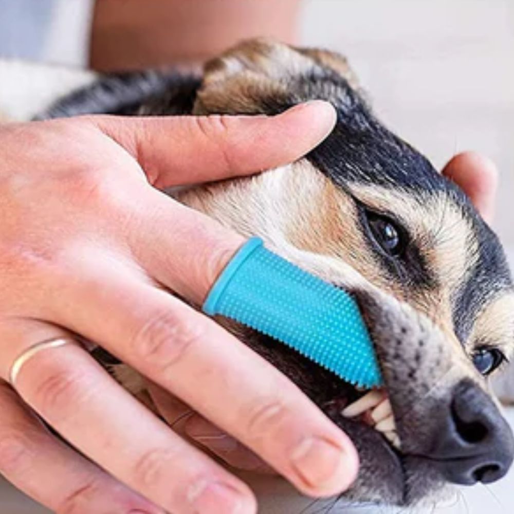 HILO - Finger toothbrush for dogs and cats. High Quality Silicone Material, Gentle and Durable, Improves Dental Hygiene Easily and Conveniently