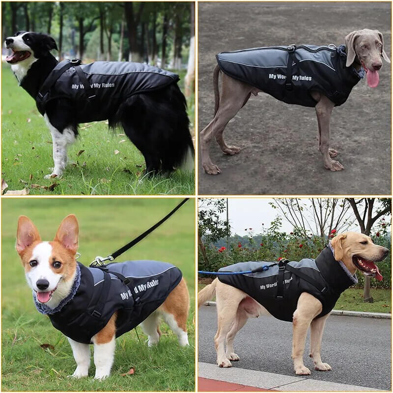 ZAVOX - Lined Dog Jacket for Medium to Large Dogs. - Insulating Lining, Reflective Details, Water Repellent, Adjustable Stand Collar